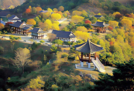 청풍문화재단지 — 차로 5분. 청풍 일대 옛 한옥들이 옮겨 모인 문화재단지인데, 가을이면 한옥 처마랑 단풍이 같이 잡혀서 인스타용으로 진짜 잘 나와요. 5살 우리 아이가 한옥 안뜰에서 술래잡기 신나게 했어요.